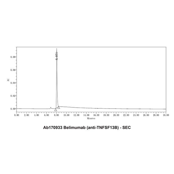 Belimumab (anti-TNFSF13B) -   >95% by Aladdin Scientific