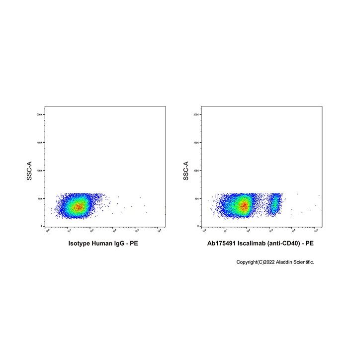Iscalimab (anti-CD40) -    by Aladdin Scientific