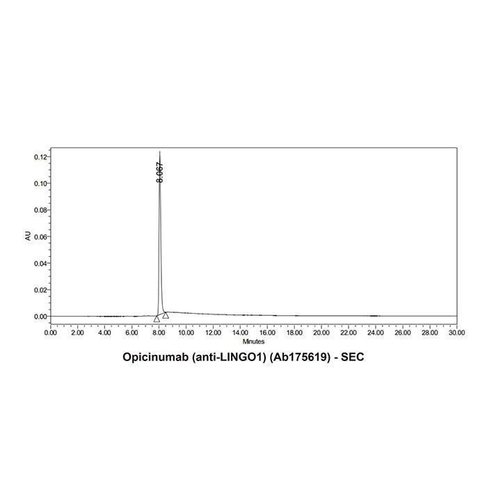 Opicinumab (anti-LINGO1) -   >95% by Aladdin Scientific