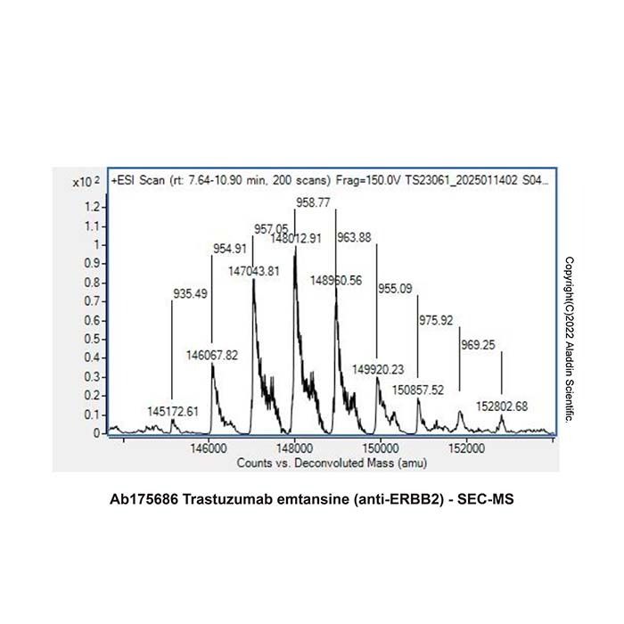 Trastuzumab emtansine (anti-ERBB2) -    by Aladdin Scientific