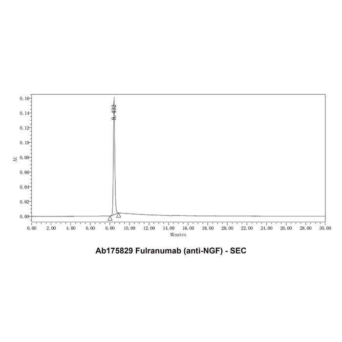 Fulranumab (anti-NGF) -   >95% by Aladdin Scientific