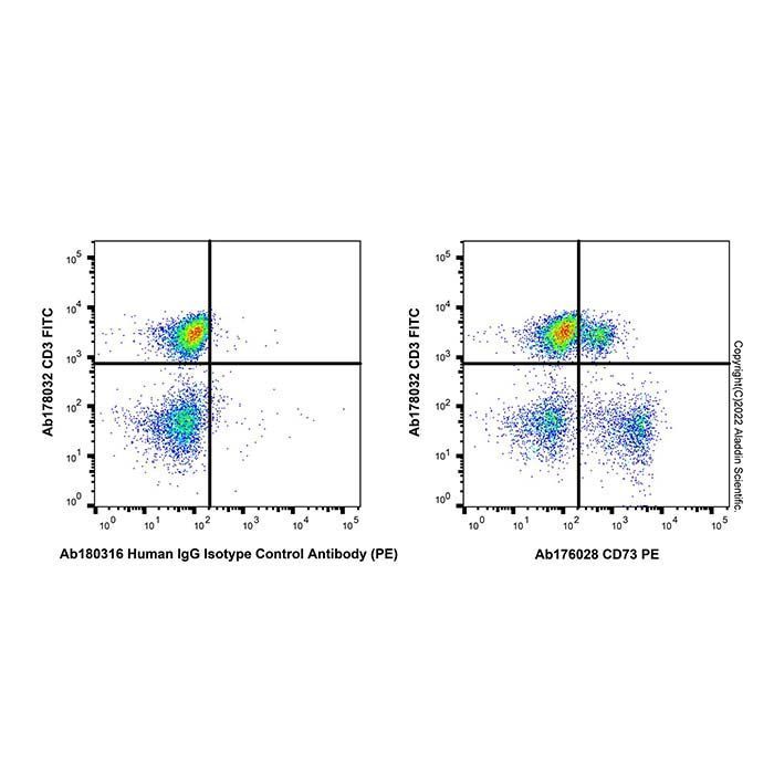Recombinant CD73 Antibody (PE) - by Aladdin Scientific