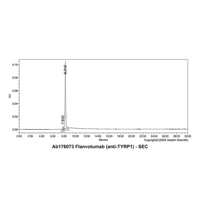 Flanvotumab (anti-TYRP1) -   >95% by Aladdin Scientific