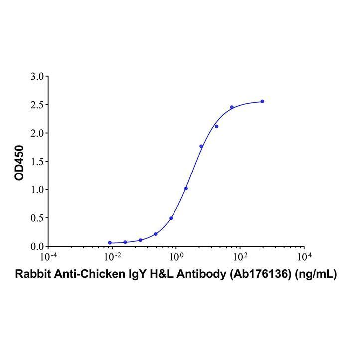 Rabbit Anti-Chicken IgY H&L Antibody -    by Aladdin Scientific