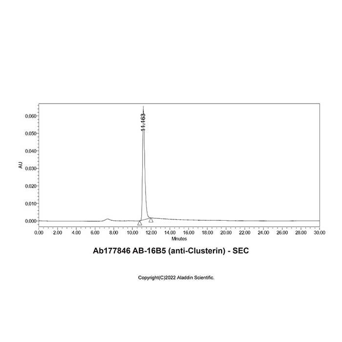 AB-16B5 (anti-Clusterin) - >95% by Aladdin Scientific