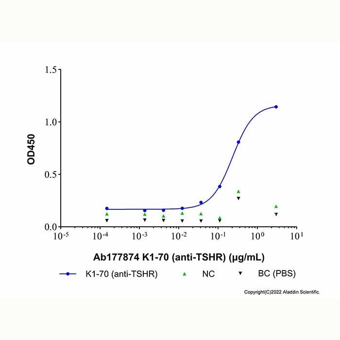 K1-70 (anti-TSHR) -   >95% by Aladdin Scientific