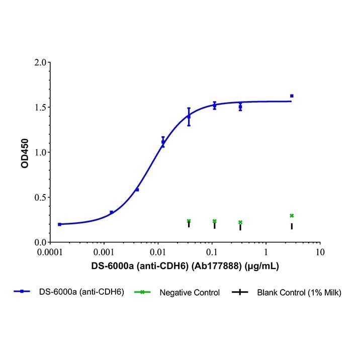 DS-6000a (anti-CDH6) -   >95% by Aladdin Scientific