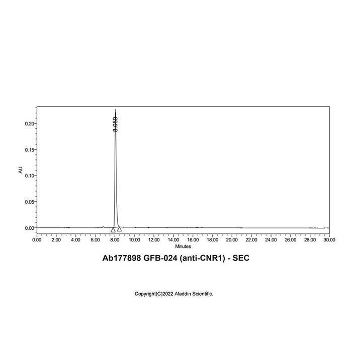 GFB-024 (anti-CNR1) -   >95% by Aladdin Scientific