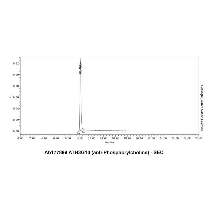 ATH3G10 (anti-Phosphorylcholine) -   >95% by Aladdin Scientific