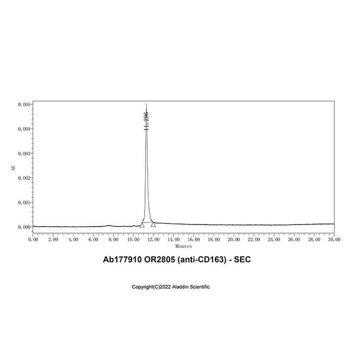 OR2805 (anti-CD163) - >95% by Aladdin Scientific