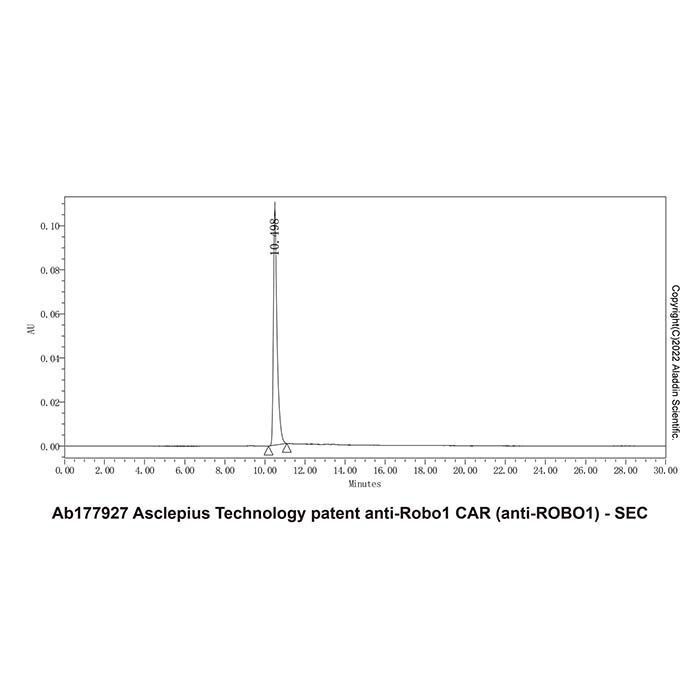 Asclepius Technology patent anti-Robo1 CAR (anti-ROBO1) - >95% by Aladdin Scientific
