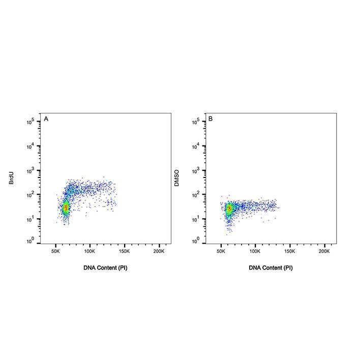 BrdU Mouse mAb -    by Aladdin Scientific