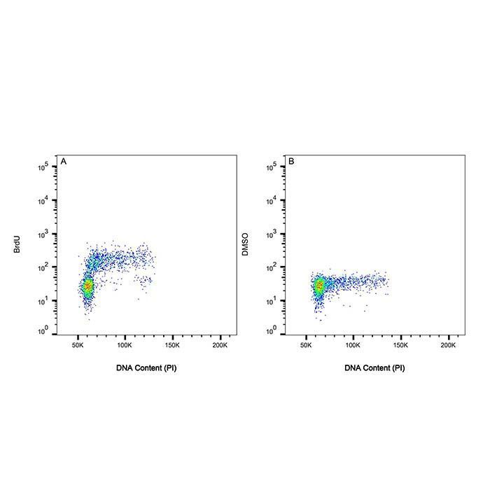 BrdU Mouse mAb -    by Aladdin Scientific