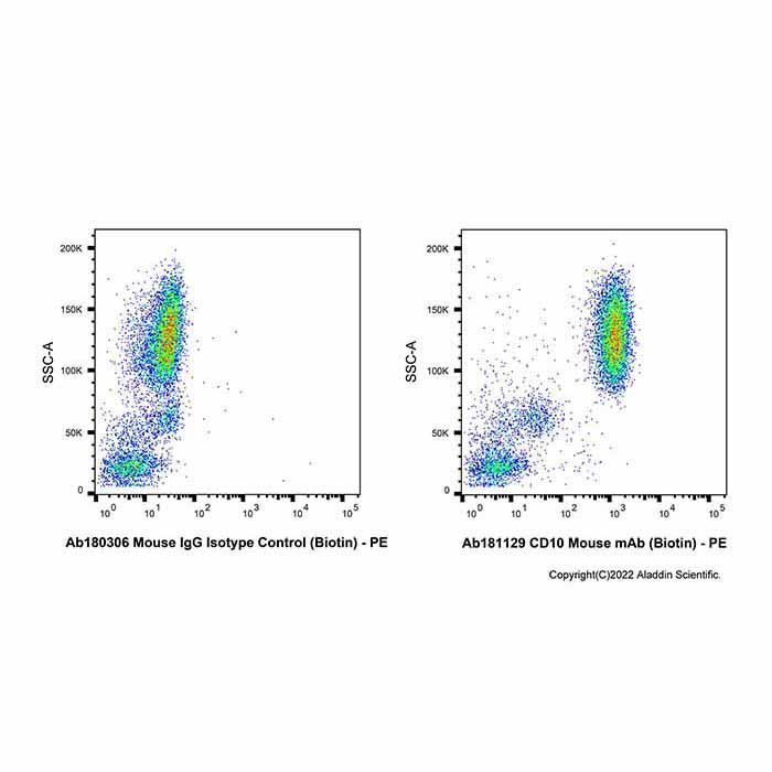 CD10 Mouse mAb (Biotin) - by Aladdin Scientific