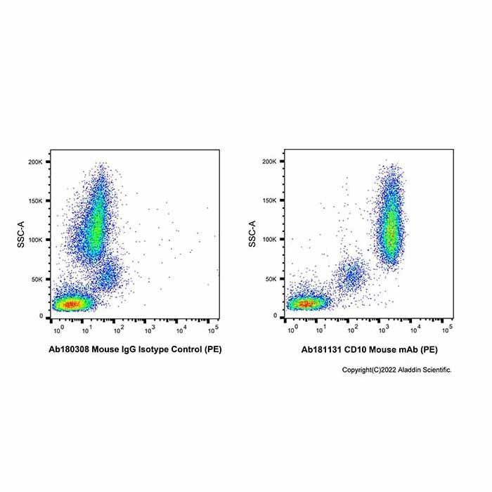 CD10 Mouse mAb (PE) -    by Aladdin Scientific