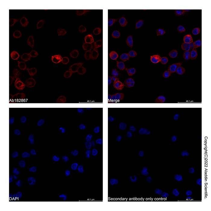 Goat Anti-Human IgG (AF647) - by Aladdin Scientific