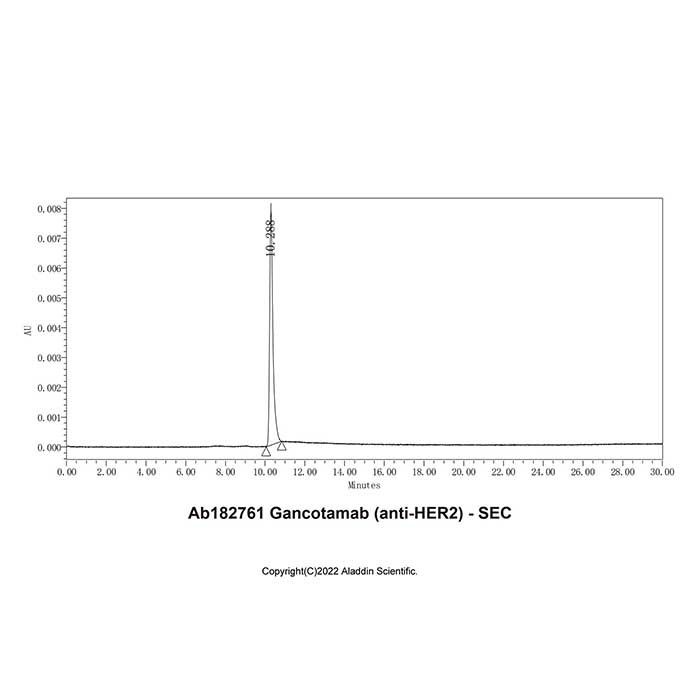 Gancotamab (anti-HER2) - by Aladdin Scientific