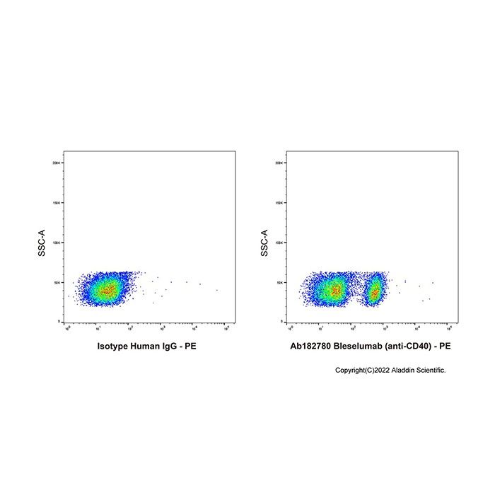 Bleselumab (anti-CD40) - by Aladdin Scientific