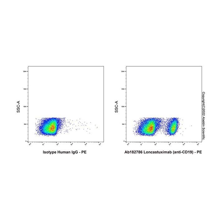Loncastuximab (anti-CD19) - by Aladdin Scientific