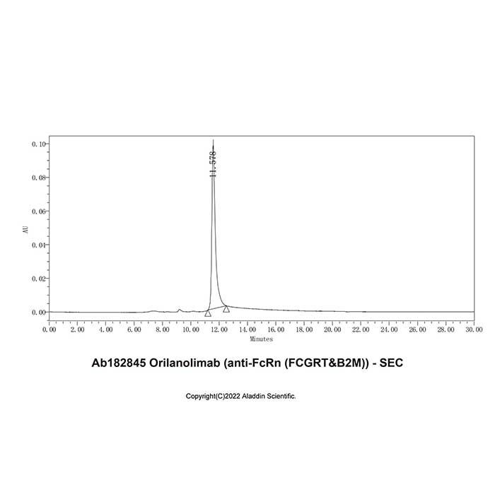 Orilanolimab (anti-FcRn (FCGRT&B2M)) - by Aladdin Scientific