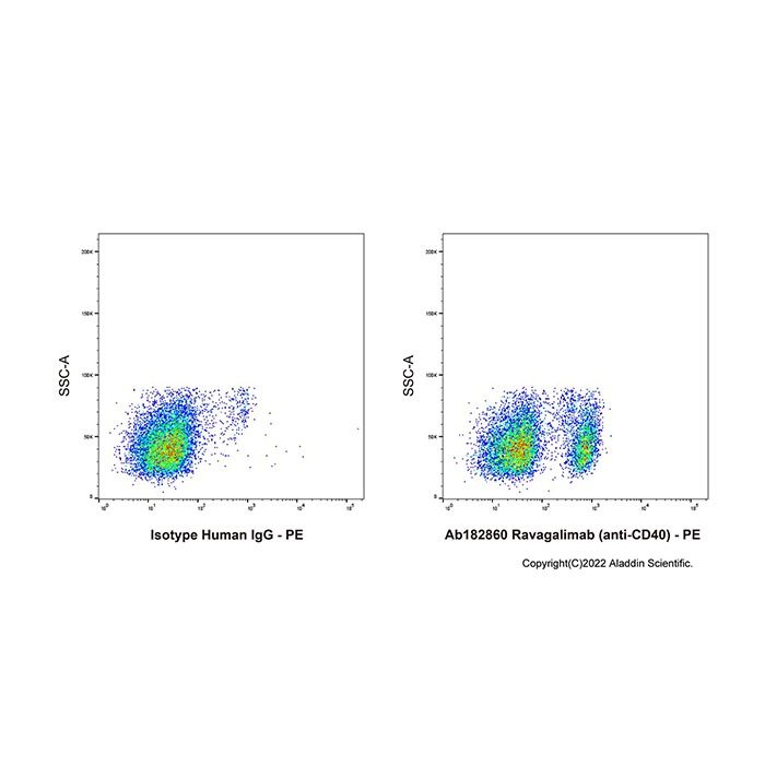Ravagalimab (anti-CD40) - by Aladdin Scientific