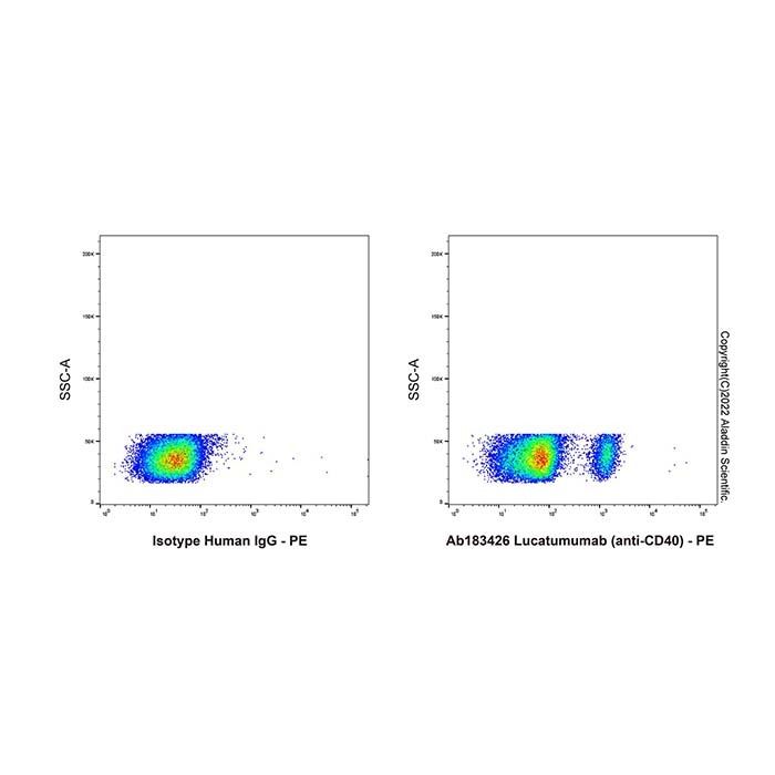Lucatumumab (anti-CD40) - by Aladdin Scientific