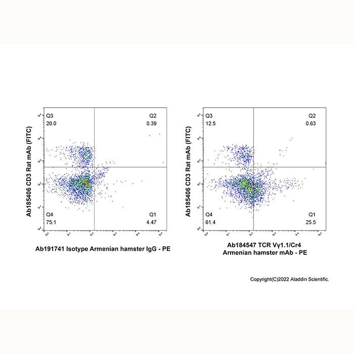 TCR Vγ1.1/Cr4 Armenian hamster mAb -    by Aladdin Scientific
