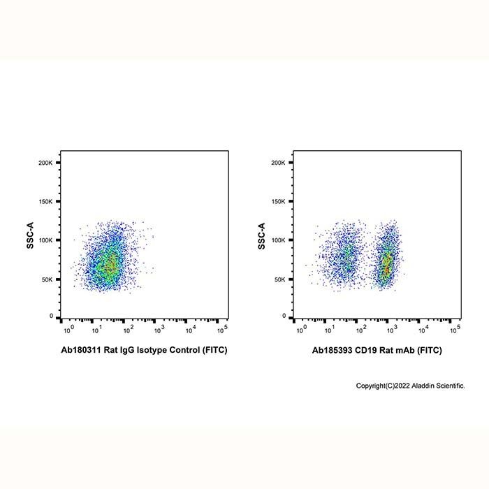 CD19 Rat mAb (FITC) -    by Aladdin Scientific