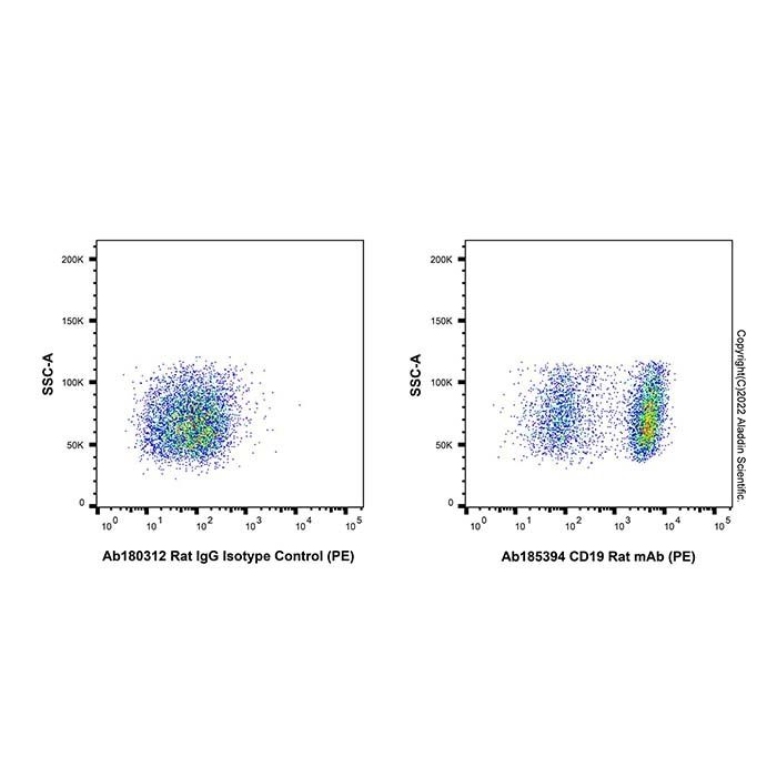 CD19 Rat mAb (PE) -    by Aladdin Scientific