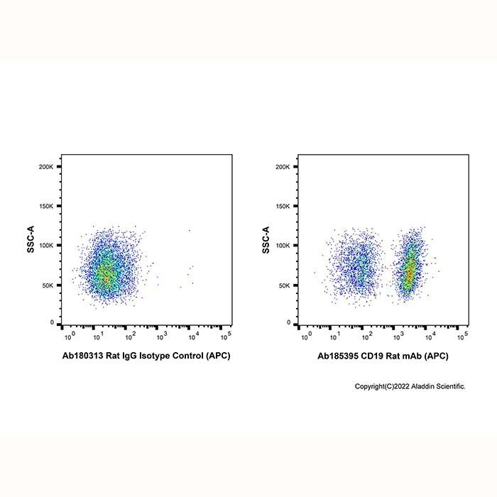 CD19 Rat mAb (APC) -    by Aladdin Scientific