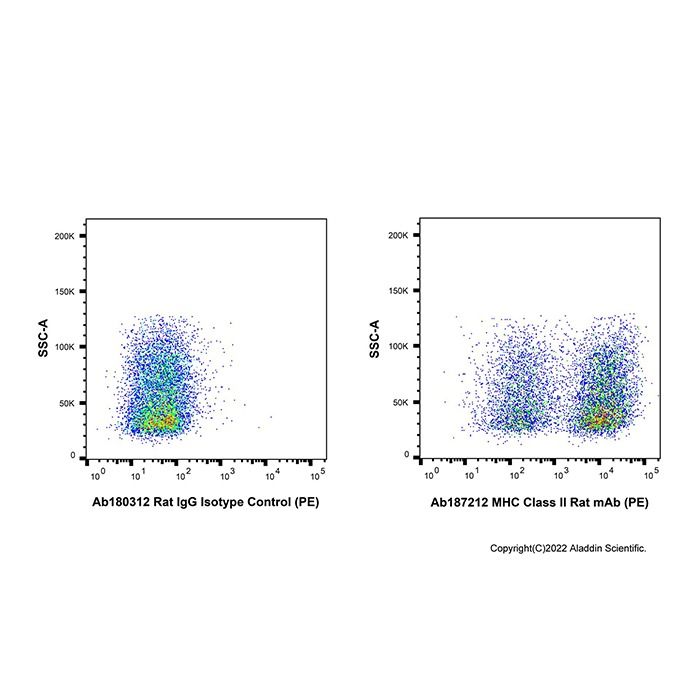 MHC Class II Rat mAb (PE) - by Aladdin Scientific