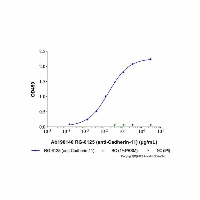 RG-6125 (anti-Cadherin-11) - by Aladdin Scientific