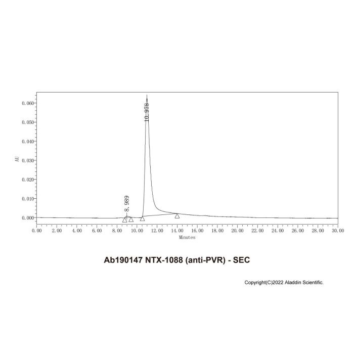 NTX-1088 (anti-PVR) -    by Aladdin Scientific