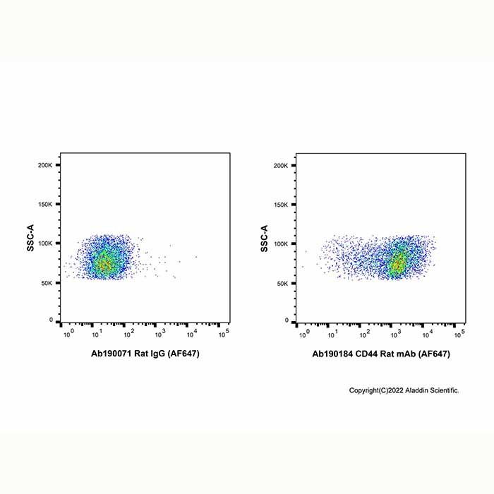 CD44 Rat mAb (AF647) -    by Aladdin Scientific