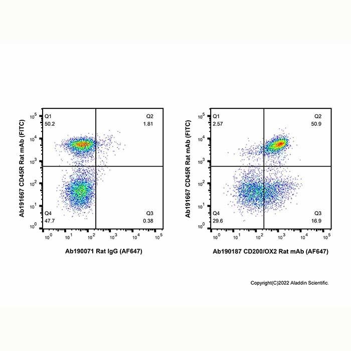 CD200/OX2 Rat mAb (AF647) -    by Aladdin Scientific
