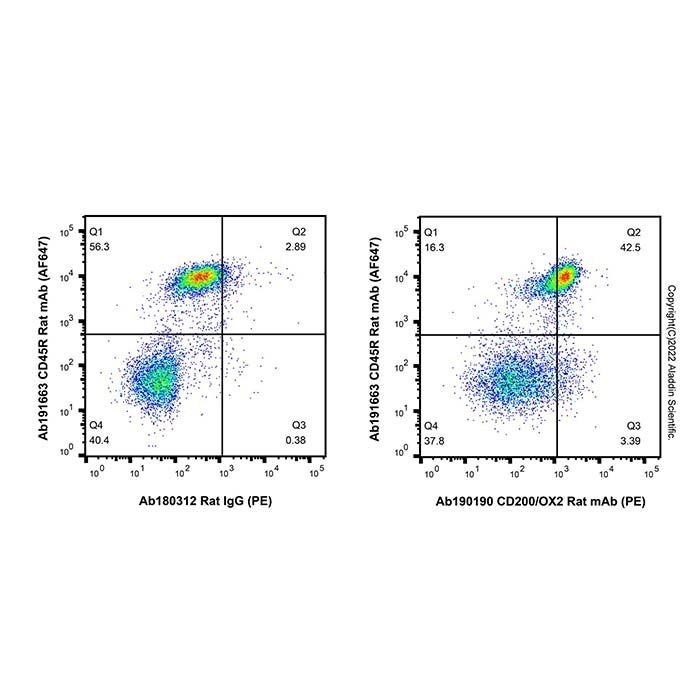 CD200/OX2 Rat mAb (PE) - by Aladdin Scientific