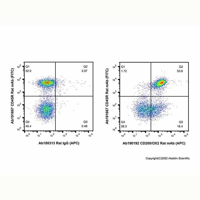 CD200/OX2 Rat mAb (APC) - by Aladdin Scientific
