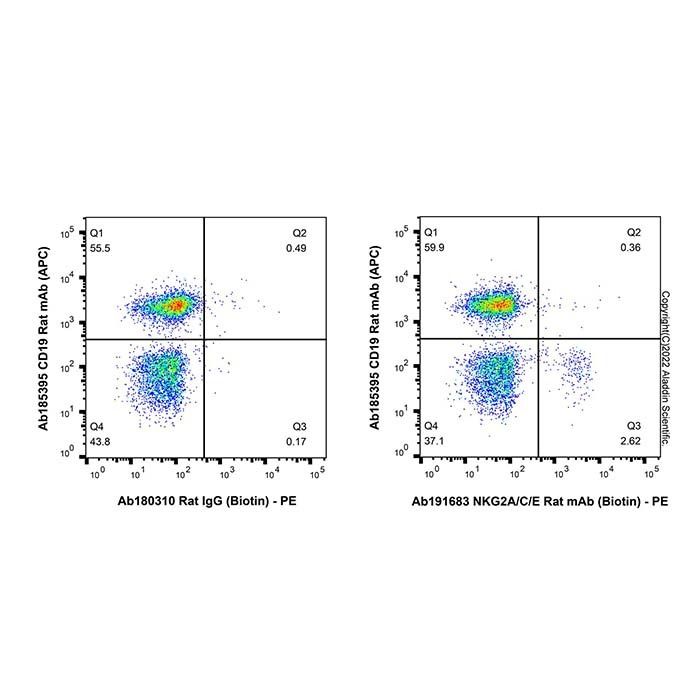 NKG2A/C/E Rat mAb (Biotin) - by Aladdin Scientific