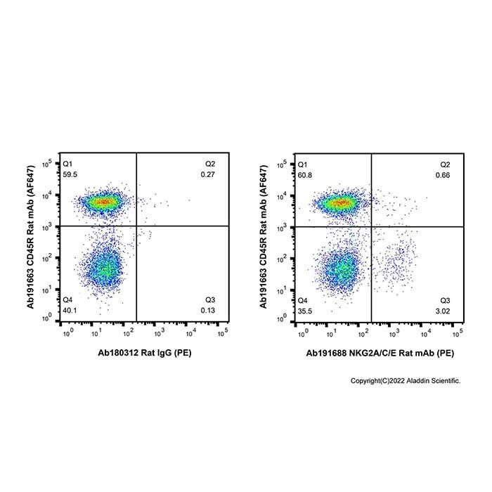 NKG2A/C/E Rat mAb (PE) - by Aladdin Scientific