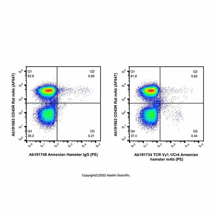 TCR Vγ1.1/Cr4 Armenian hamster mAb (PE) -    by Aladdin Scientific
