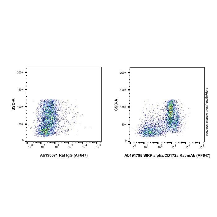 SIRP alpha/CD172a Rat mAb (AF647) - by Aladdin Scientific