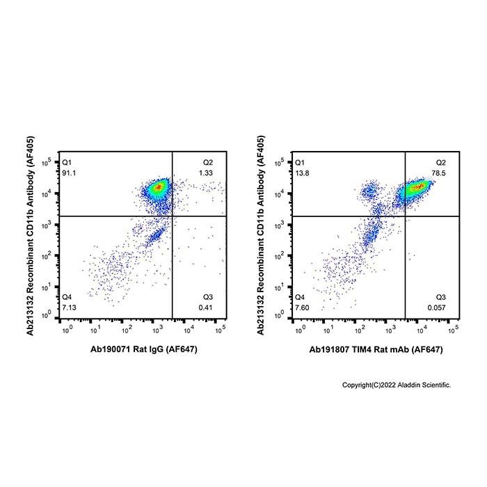TIM4 Rat mAb (AF647) -    by Aladdin Scientific
