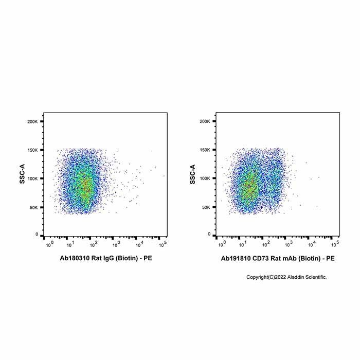 CD73 Rat mAb (Biotin) -    by Aladdin Scientific
