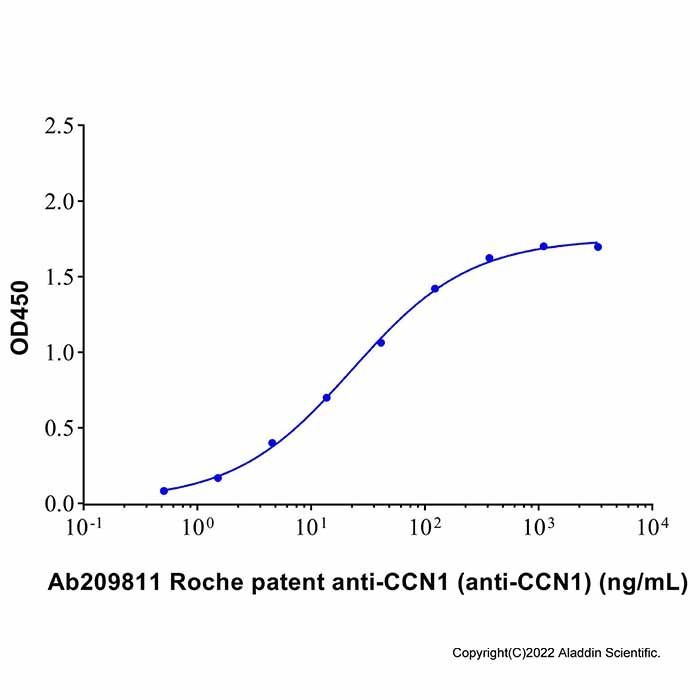 Roche patent anti-CCN1 (anti-CCN1) - by Aladdin Scientific