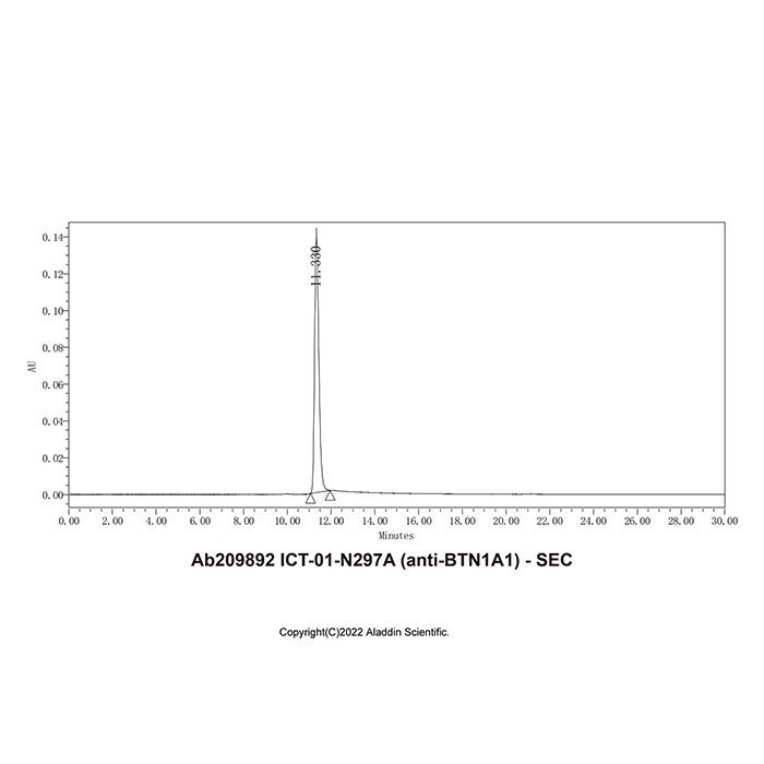 ICT-01-N297A (anti-BTN1A1) - by Aladdin Scientific