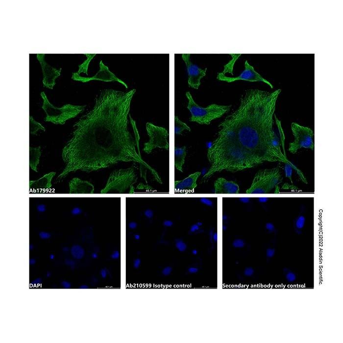 Mouse IgG2a-kappa, anti-A29L - by Aladdin Scientific