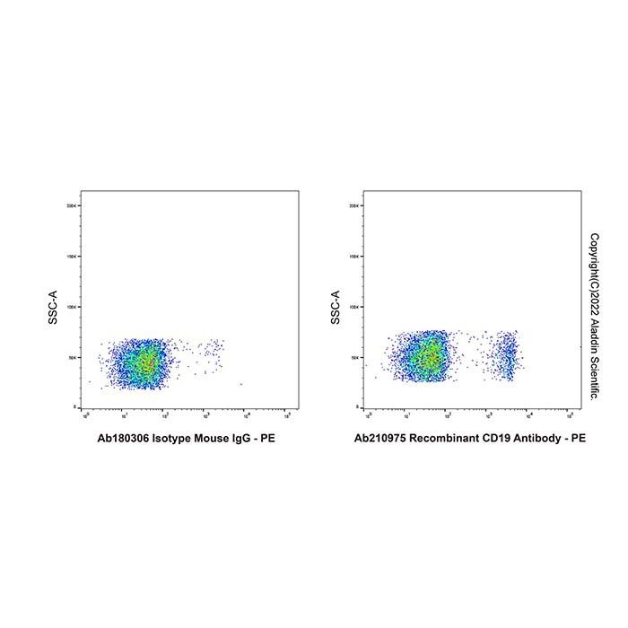 Recombinant CD19 Antibody - by Aladdin Scientific