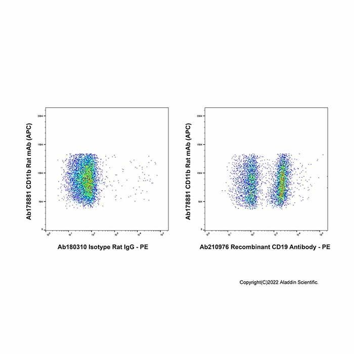 Recombinant CD19 Antibody -    by Aladdin Scientific
