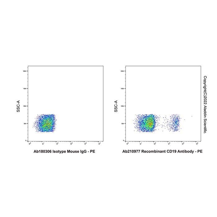 Recombinant CD19 Antibody - by Aladdin Scientific
