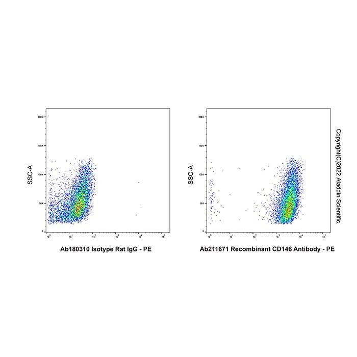 Recombinant CD146 Antibody -    by Aladdin Scientific